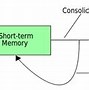 Image result for Memory Consolidation Pysch