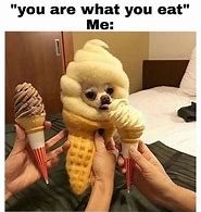Image result for Food Humor Meme