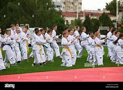 Image result for Martial Arts Stock Photos