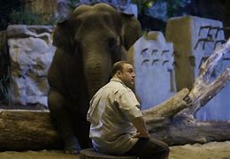 Image result for Zookeeper Franklin Park Zoo