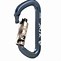 Image result for Aluminum Carabiner with Screw Lock