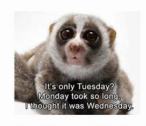 Image result for When Tuesdays Are Mondays Meme
