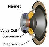 Image result for Speaker Cone Side View