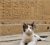 Image result for Cats and Ancient Egypt