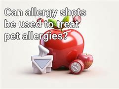 Image result for Dog Allergic Reaction Hives Treatment