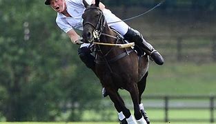 Image result for Prince Harry Polo Friends