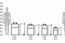 Image result for 20 Inch Luggage Size in Cm