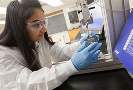 Image result for Biomedical Engineering Major