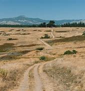 Image result for Fiscalini Ranch Preserve Cambria CA
