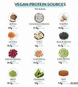 Image result for Vegan Protein Sources Food