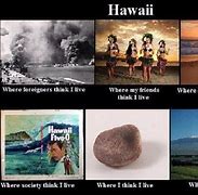 Image result for Memes to Make You Laugh Hawaii