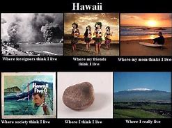 Image result for Hawaiian Memes Funny