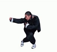 Image result for Kung Fu Moves