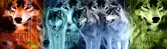 Image result for Wolves Club