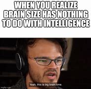 Image result for Small Bran Big Brain Meme