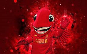 Image result for Liverpool FC Mascot