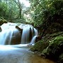 Image result for South American Jungle Paradise