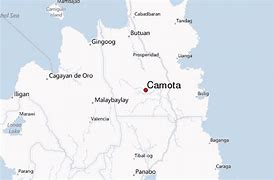 Image result for camota