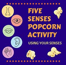 Image result for 5 Senses Activities for Kinder