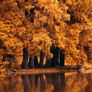 Image result for iPad Nature Wallpaper 4K