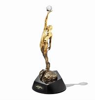 Image result for Derrick Rose MVP Trophy