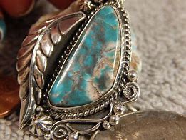 Image result for Bisbee Turquoise Sterling Silver Feather Necklace
