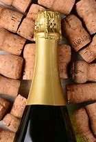 Image result for Champagne Bottle Cork