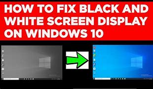 Image result for White Screen Display