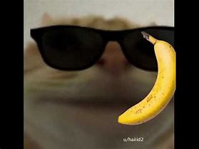 Image result for Cat with Banana Phone