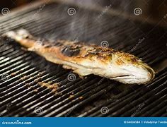Image result for Burnt Fish