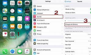 Image result for iPhone Volume Control Button