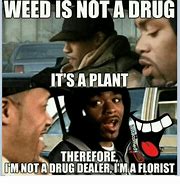 Image result for Plant Dealer Meme