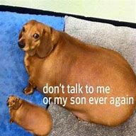Image result for Don't Talk to Me or My Son Again