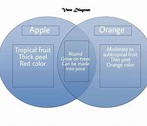 Image result for VINN Diagram of Apple and Orange