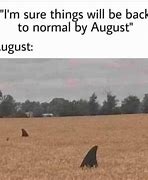 Image result for August Month Memes