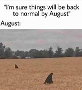 Image result for It's August Meme