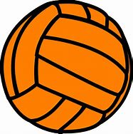 Image result for Volleyball