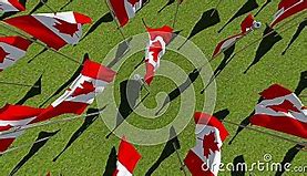 Image result for Canada Flag Circle No Background