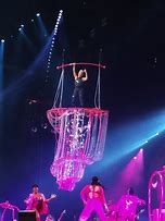 Image result for P!NK Concert