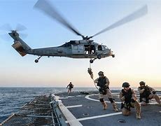 Image result for U S Coast Guard Special Ops