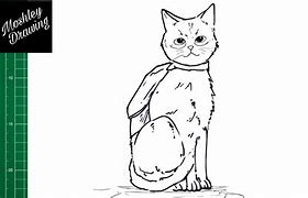 Image result for Stray Cat Game Coloring Pages
