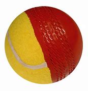 Image result for SwingBall Cricket