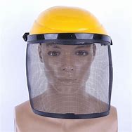 Image result for Landscaping Face Shield