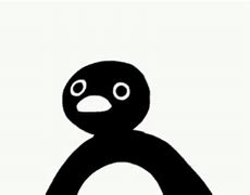 Image result for Penguin Stare Meme
