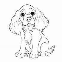 Image result for Spaniel Dog Coloring Pages