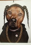 Image result for OH Lawd Snoop Dog