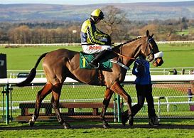 Image result for Pacer Horse Racing