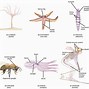 Image result for Universe and Brain Neuron
