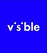 Image result for Visible Wireless Logo