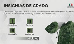 Image result for IPPS SE Que Le Insignia